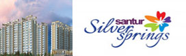 silver springs